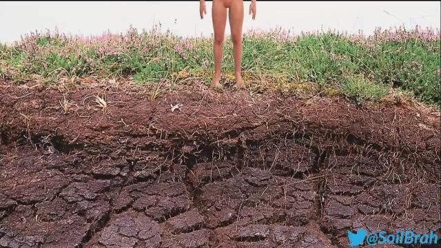 twitter_20210801_054134